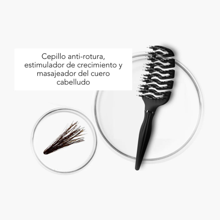 Comprar Cepillo Mágico NEGRO Moncho Moreno -  Desenreda el cabello sin