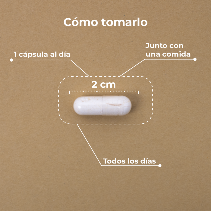 Vitamina C + Reishi Kobho - Refuerza tu Inmunidad | Farmacia Lisboa