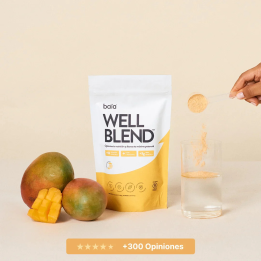 Well Blend Mango 300g Baïa Food