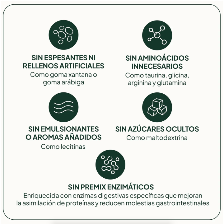 Proteína Vegana IVB Wellness Lab | Aporte diario de proteínas veganas