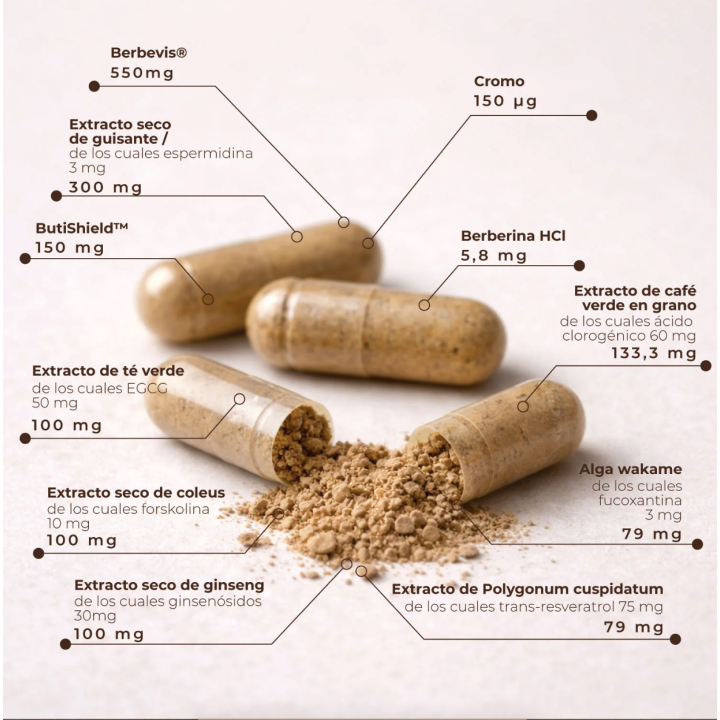 Composicion capsulas Kobho GLP 1, alternativa natural