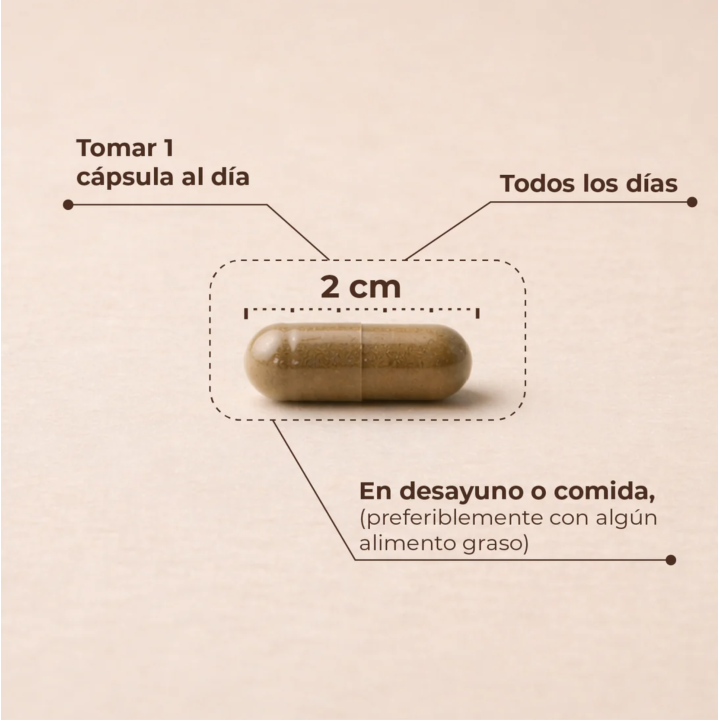 KobhoCALM 60 Cápsulas Antiestrés |Farmacia Lisboa