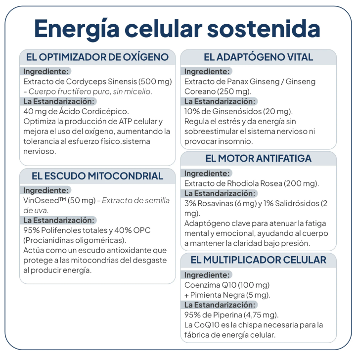 Energy Up IVB para el cansancio y la fatiga |Farmacia Lisboa