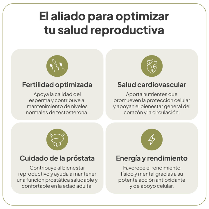 Comprar VitalNatal Man IVB 60 caps  - optimiza la salud reproductiva e