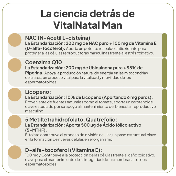 Comprar VitalNatal Man IVB 60 caps  - optimiza la salud reproductiva e