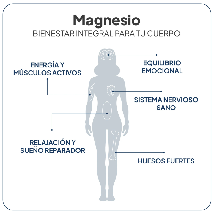 Comprar Magnesio Total 60 Caps IVB - Magnesio bisglicinato y magnesio