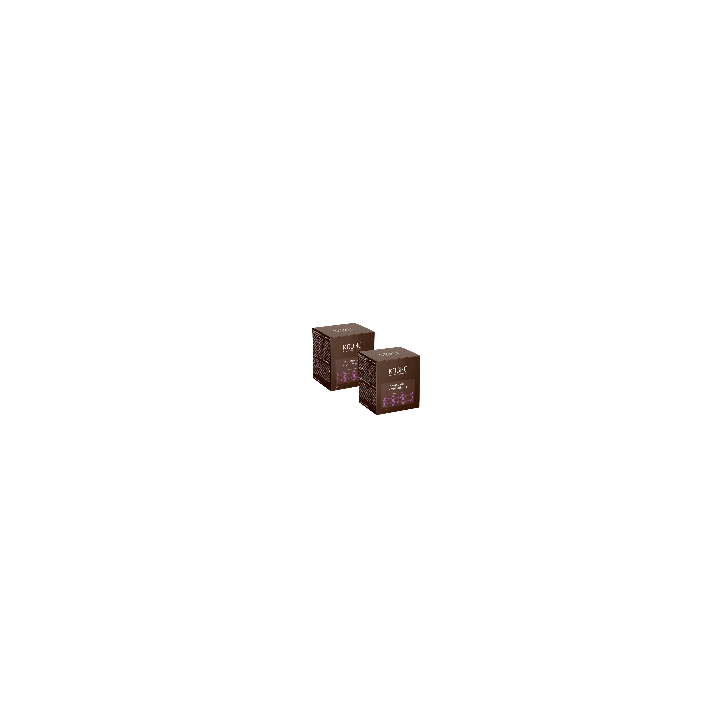 Duplo Magnesio + Vitamina B6 Kobho Labs 2x20 viales | Farmacia Lisboa