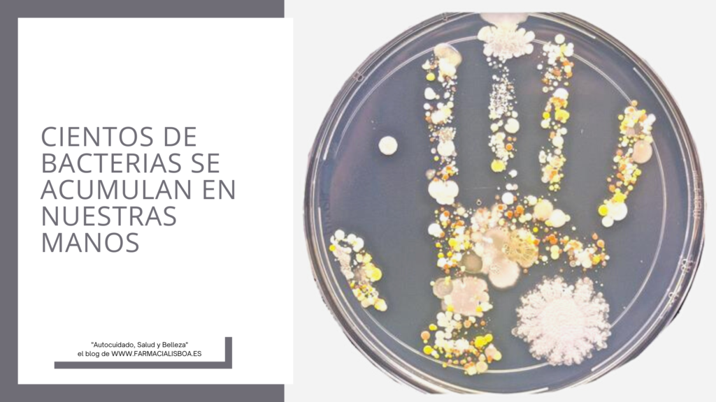 Cientos de bacterias se acumulan en nuestras manos a diario de ahí la importancia de lavarlas con agua y jabón